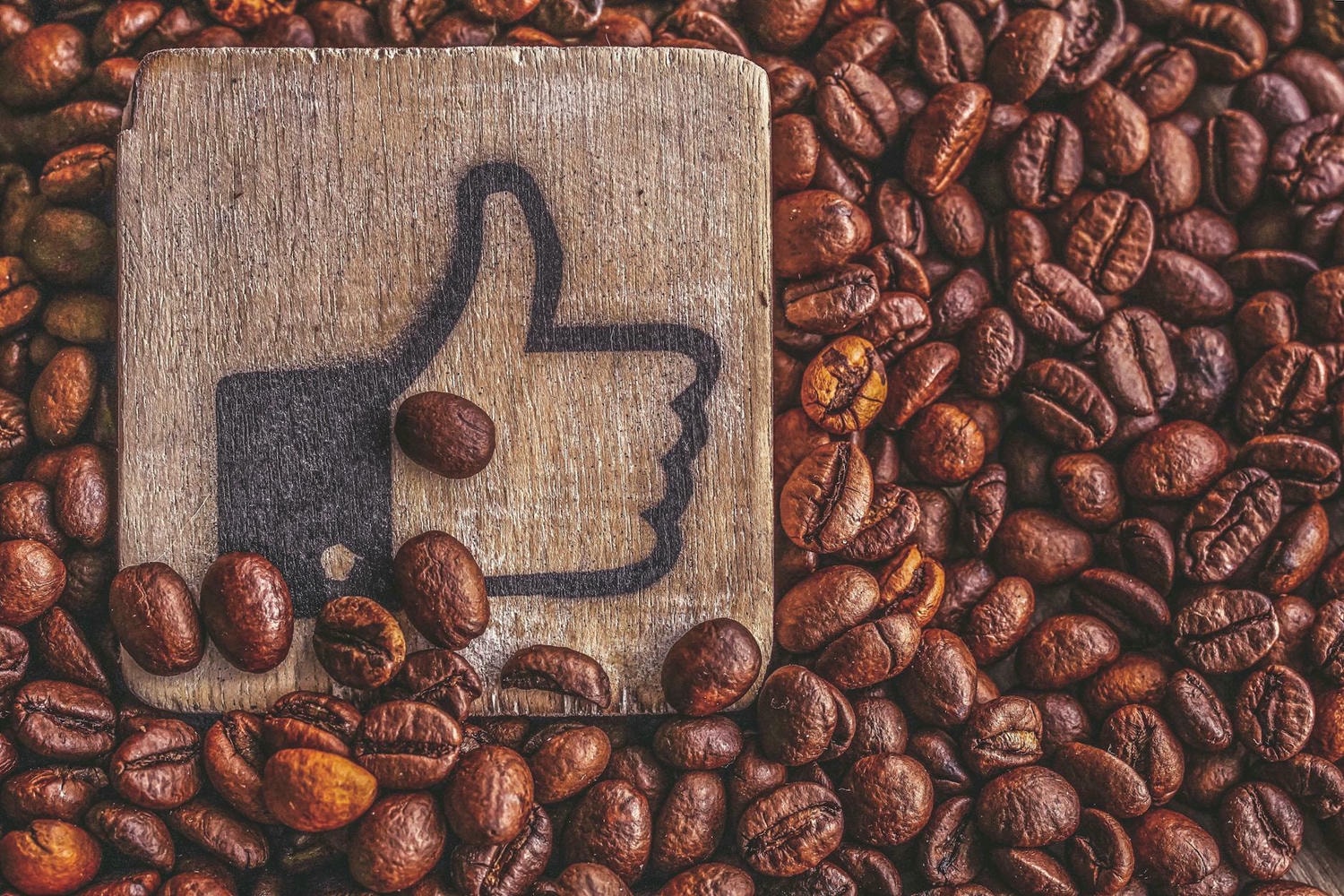 roasted coffee beans