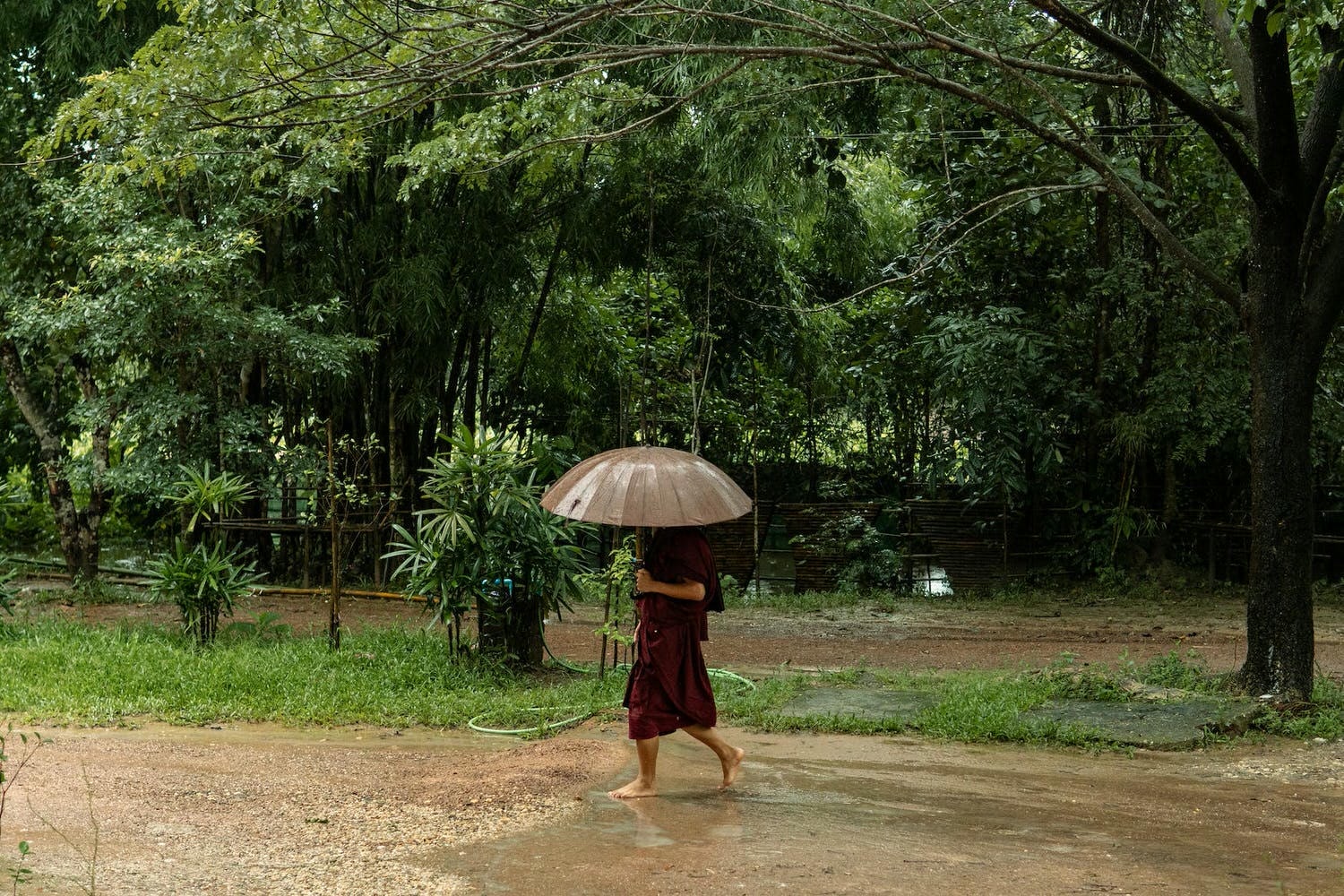 a monk