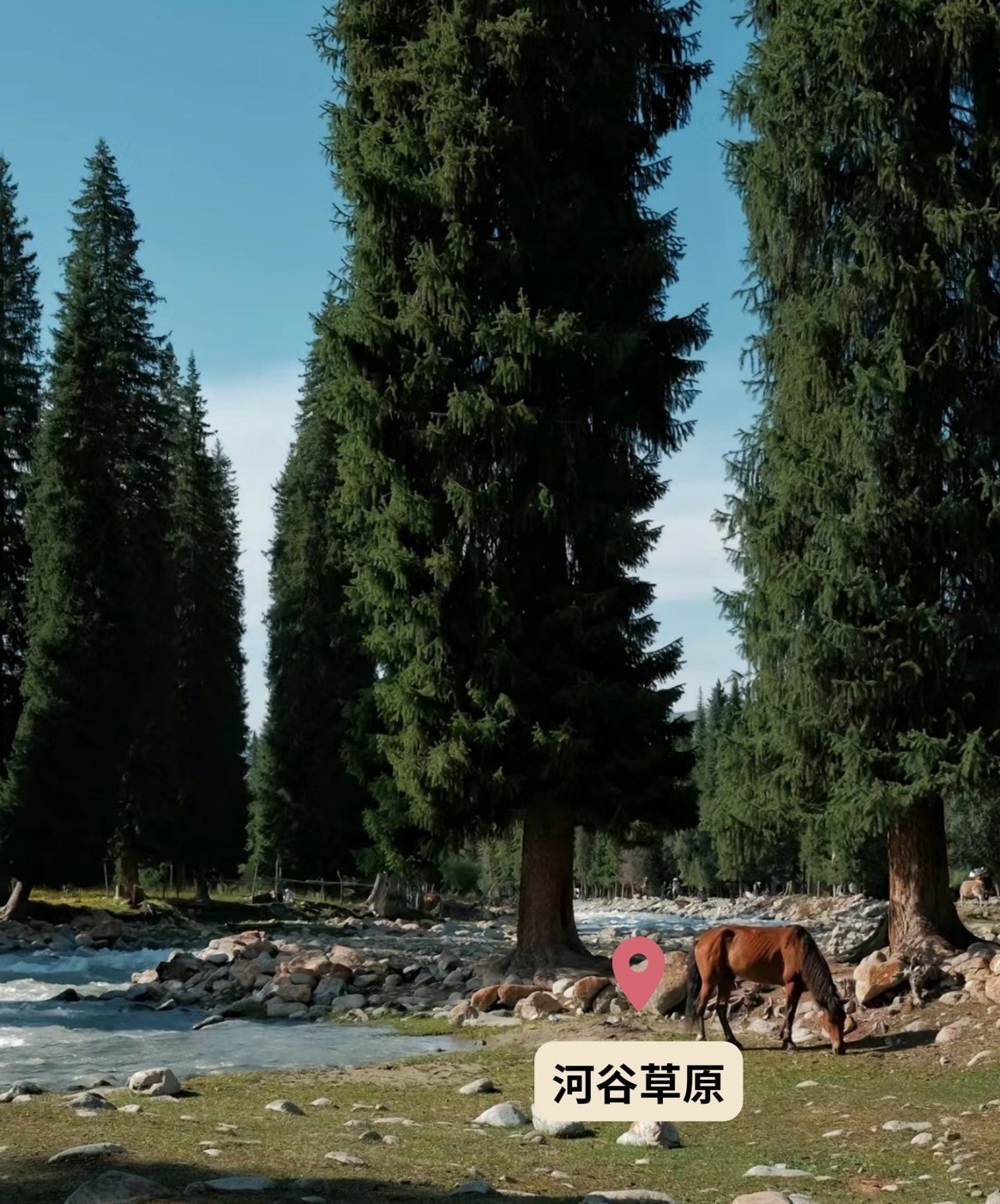 亞洲 | 中國 | 2024 北疆13日 獨庫公路、禾木村、塞里木湖 大玩家半自助分享 - 第57張圖