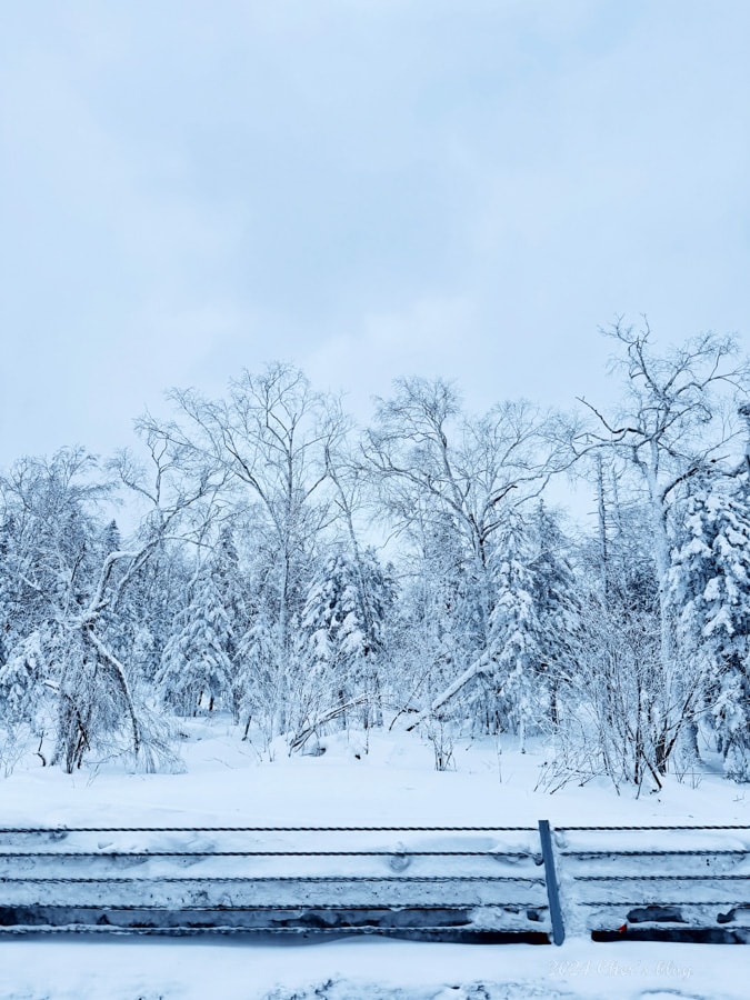 亞洲 | 中國 | 2024 哈爾濱冰雪+東北10日自助 - 第30張圖