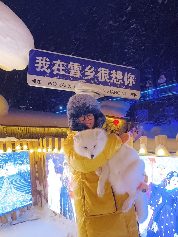 亞洲 | 中國 | 2024 哈爾濱冰雪+東北10日自助 - 第2張圖
