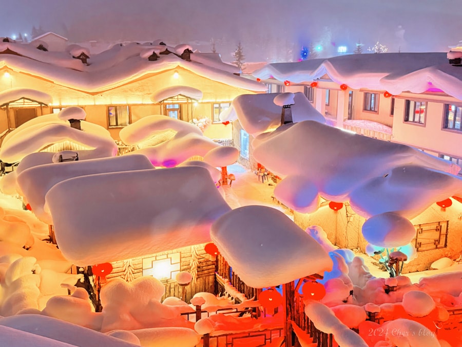 亞洲 | 中國 | 2024 哈爾濱冰雪+東北10日自助 - 第25張圖