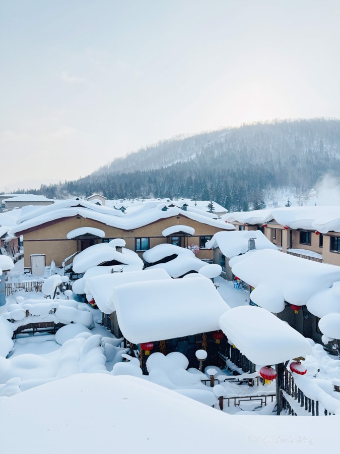 亞洲 | 中國 | 2024 哈爾濱冰雪+東北10日自助 - 第23張圖
