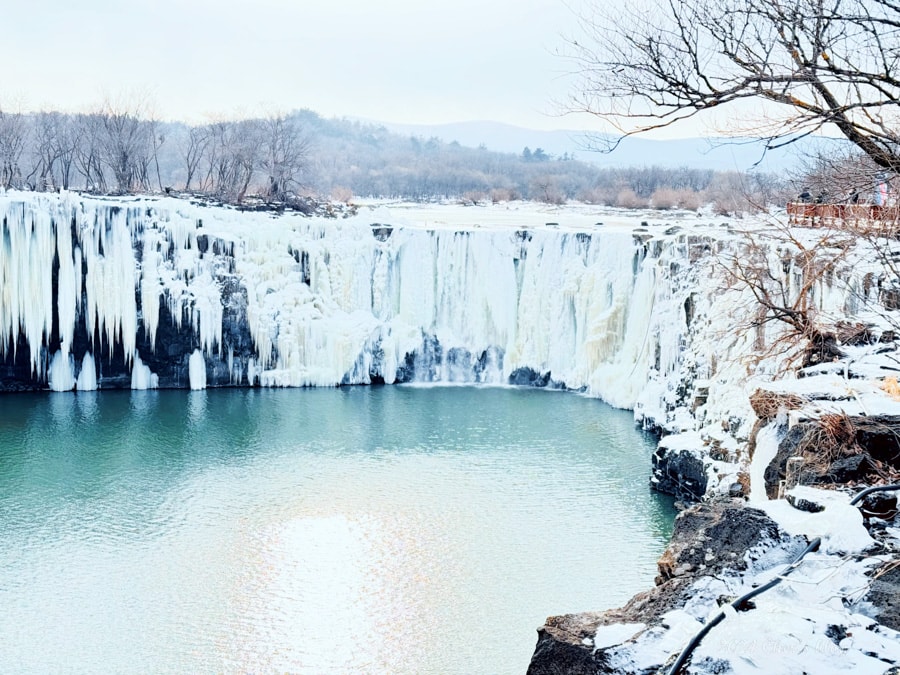 亞洲 | 中國 | 2024 哈爾濱冰雪+東北10日自助 - 第21張圖