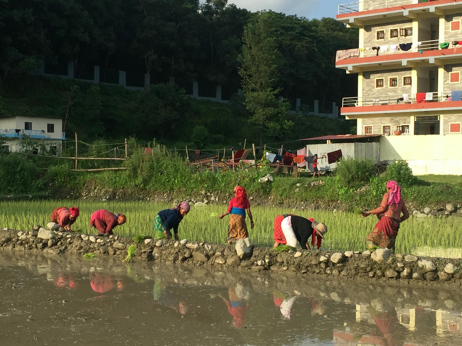 亞洲 | 尼泊爾 | 2017 背包佛國 加德滿都、博卡拉、奇旺、藍毗尼15天 - 第24張圖