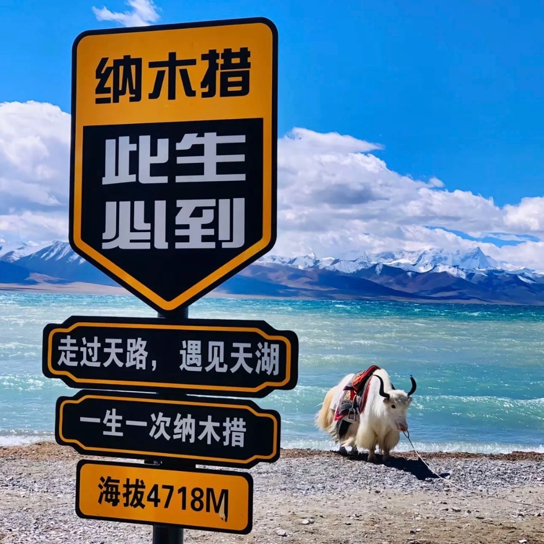 亞洲 | 中國 | 2025極致川藏:川西秘境+317色達+318 國道與拉薩半自助探索之旅 - 第9張圖