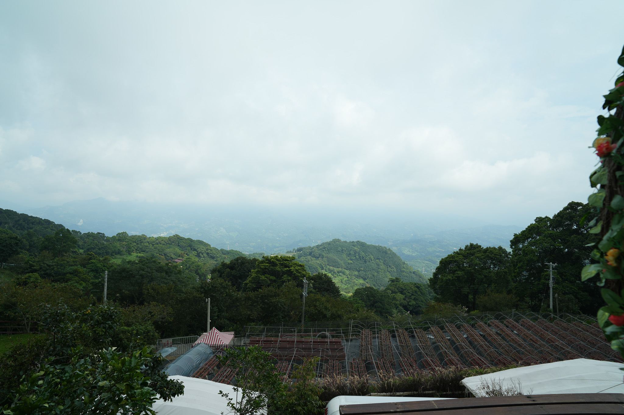 苗栗 雲霧漫漫 | 一泊四食-苗栗最夯的露營懶人體驗 - 第12張圖